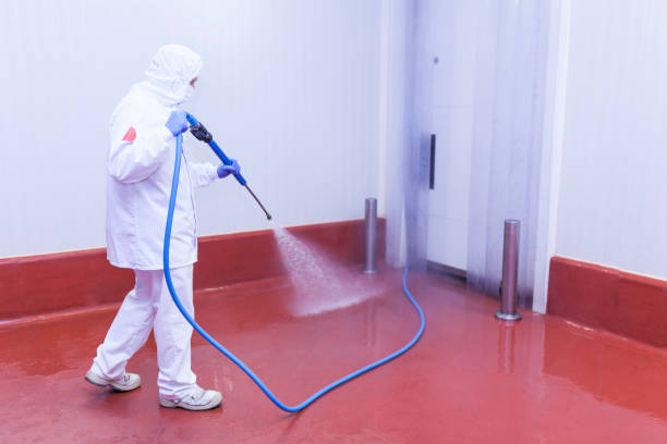 Best Driveway Pressure Washing  in Tenafly, NJ